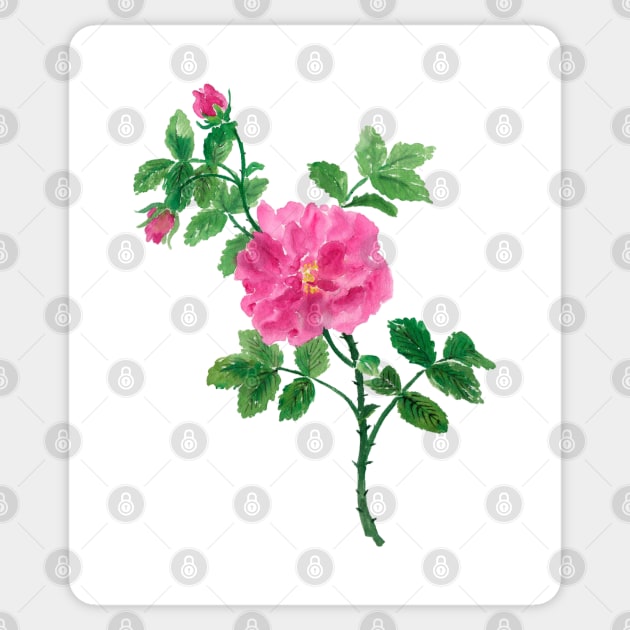 July 23rd birthday flower Sticker by birthflower